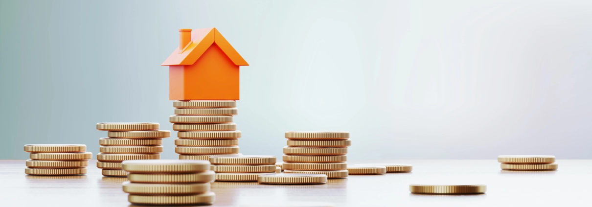 what is development finance