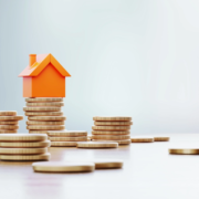 what is development finance